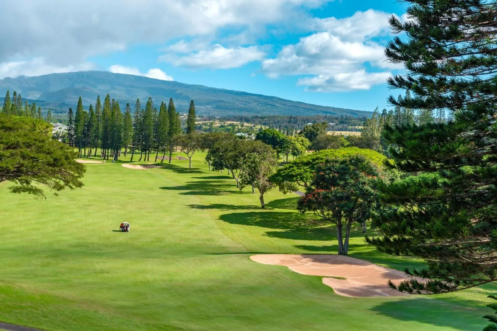 Appartement Kbm Resorts Free Car Kapalua Golf Villa Kgv-17T5 Remodeled Ocean View